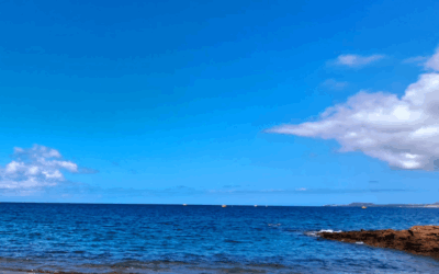 Retiros de Yoga en la Naturaleza de Tenerife – Octubre 2025