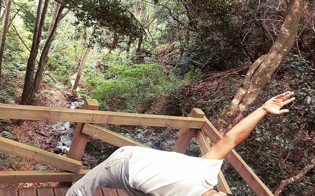 Diferencia entre Hatha Yoga y Vinyasa Yoga
