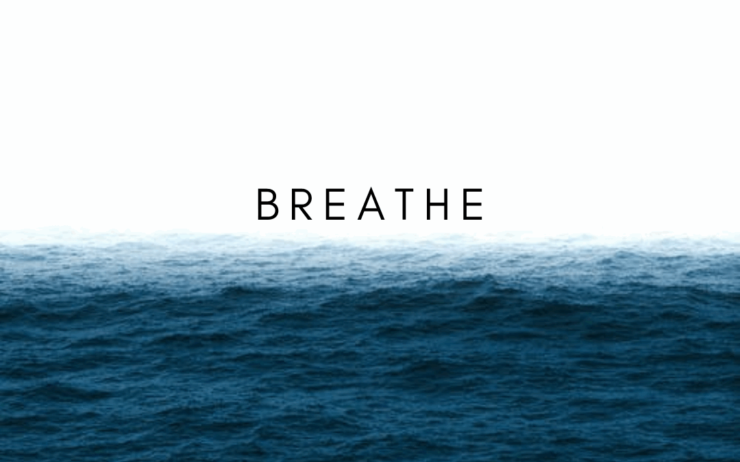 Respiración consciente y pranayama: el arte de transformar cuerpo y mente