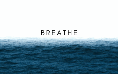 Respiración consciente y pranayama: el arte de transformar cuerpo y mente