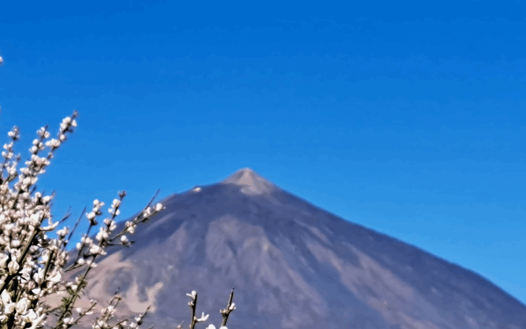 Retiro de Yoga en Tenerife · Marzo 2026